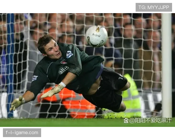 诺伊尔欧洲杯表现稳健，尽显顶级门将风采